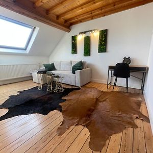 Appartement met een Slaapkamer